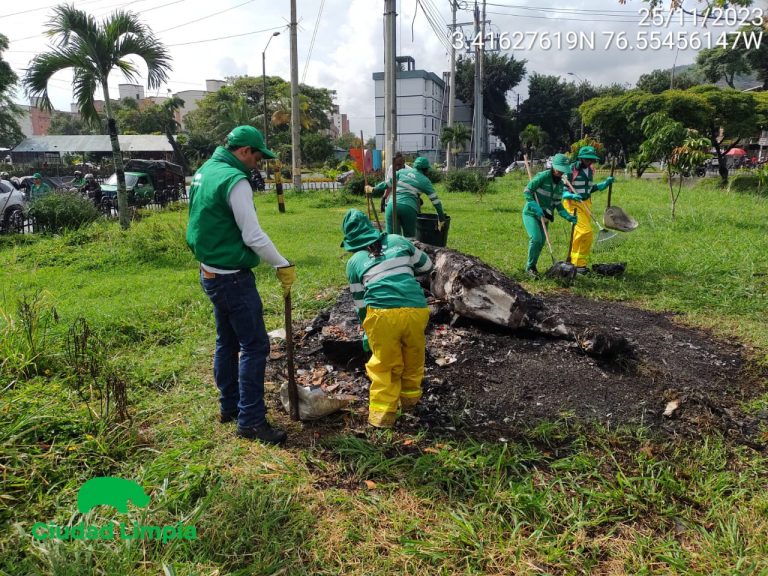 Imagen de WhatsApp 2023-11-25 a las 11.27.19_5622f456