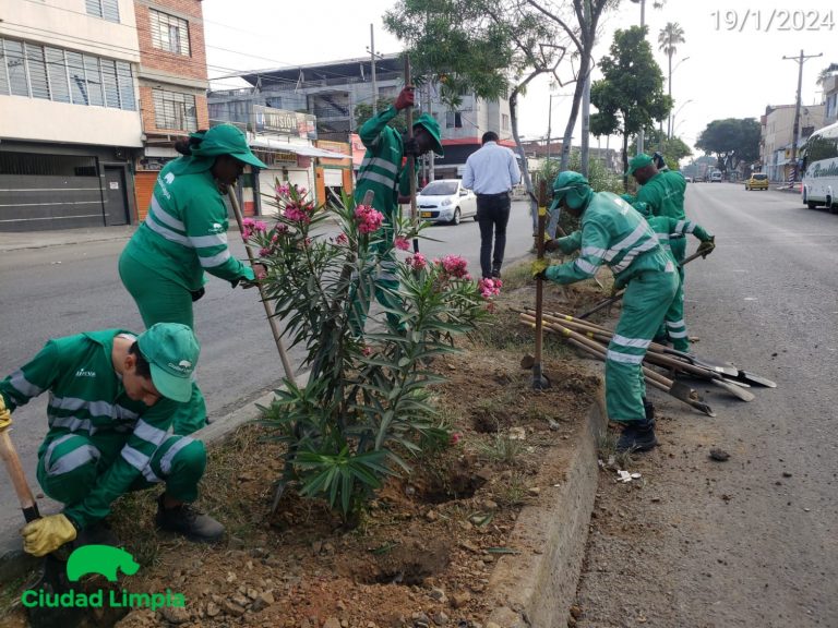 Imagen de WhatsApp 2024-01-22 a las 08.51.55_4ecdd519