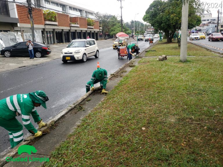 Imagen de WhatsApp 2024-03-04 a las 08.04.02_fd1fd607