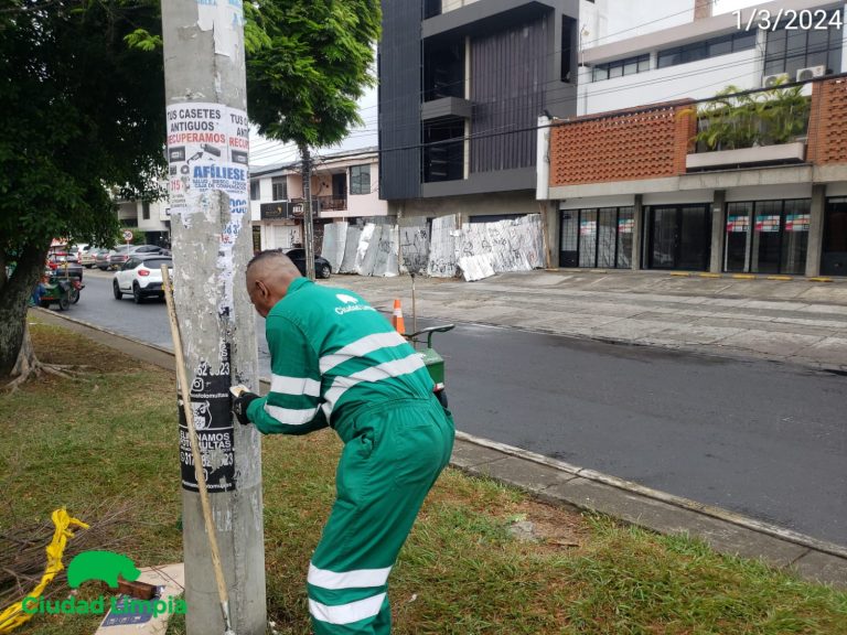 Imagen de WhatsApp 2024-03-04 a las 08.04.04_3fc694f0