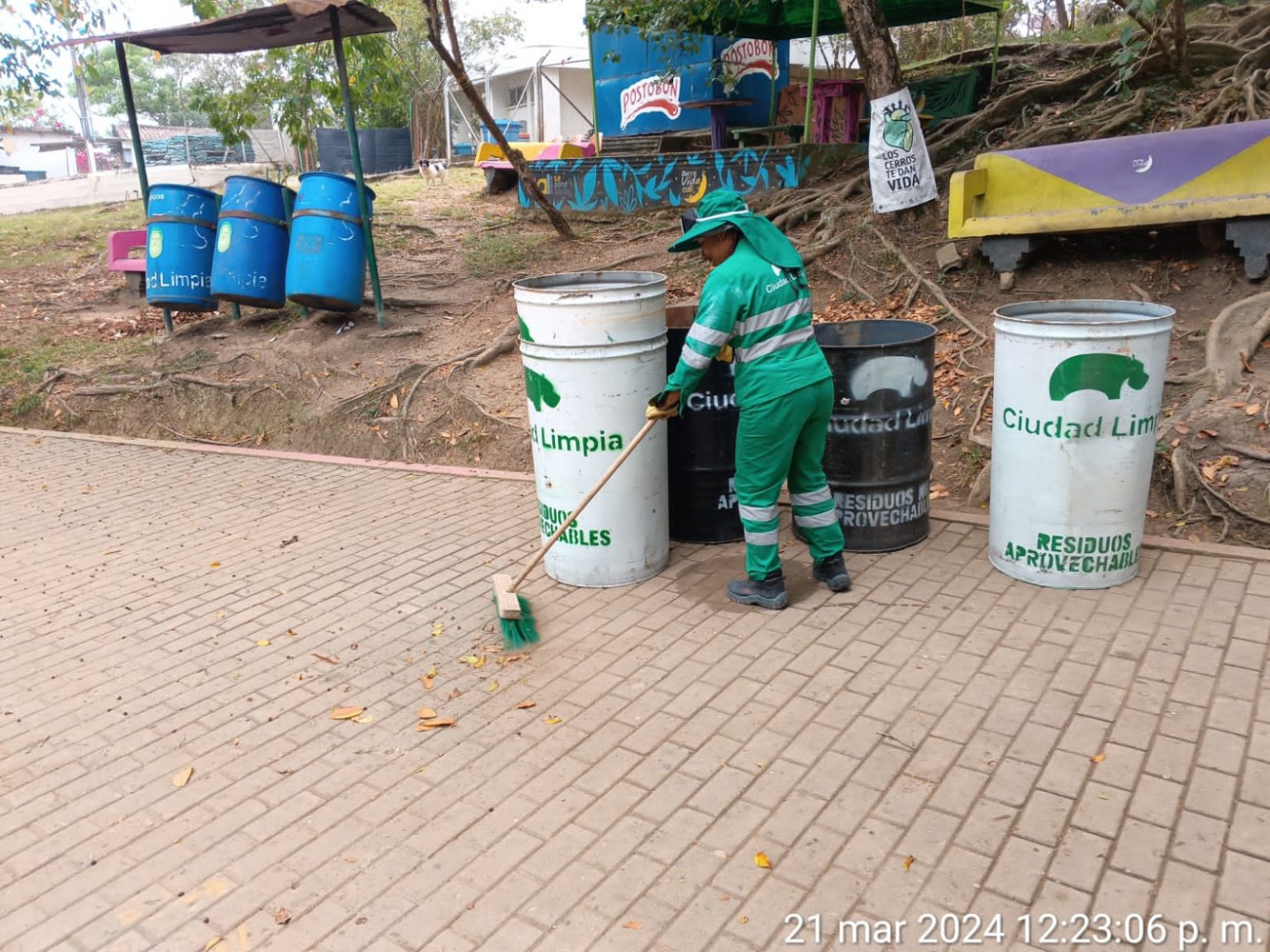 Imagen de WhatsApp 2024-03-26 a las 07.17.35_c9edb08a