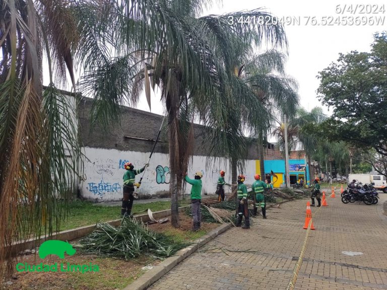 Imagen de WhatsApp 2024-04-06 a las 10.51.22_a2e82dc9