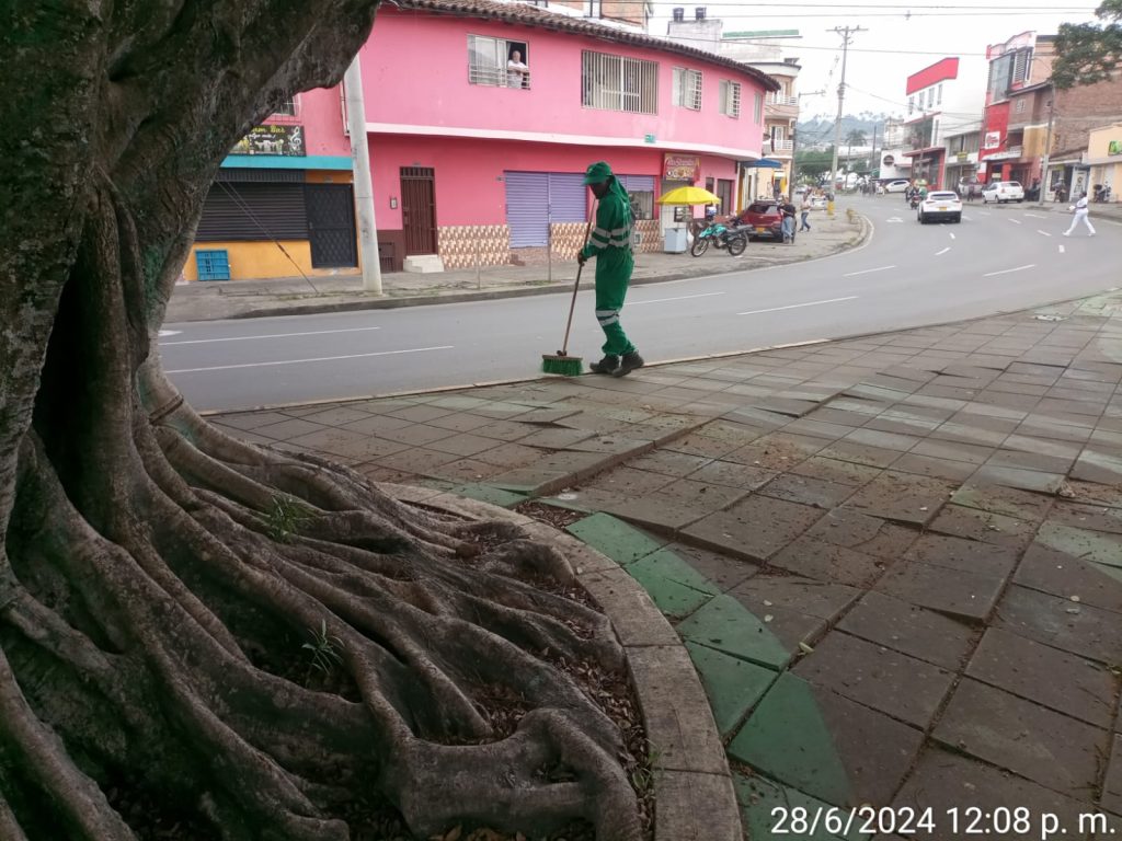 Imagen de WhatsApp 2024-07-02 a las 11.47.00_1cd257a9