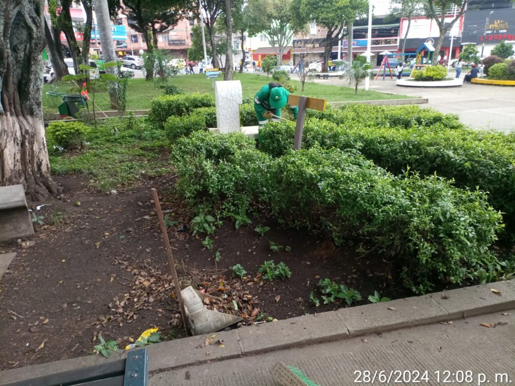 Imagen de WhatsApp 2024-07-02 a las 11.47.00_45e09509