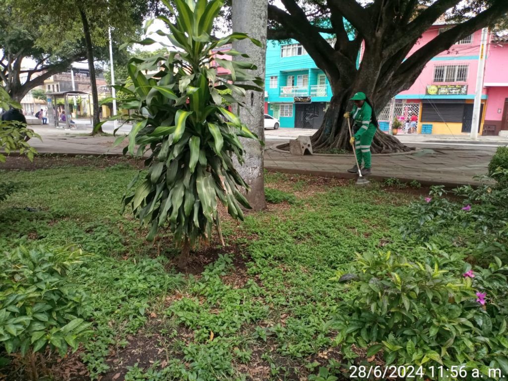 Imagen de WhatsApp 2024-07-02 a las 11.47.00_9fcbbf0a