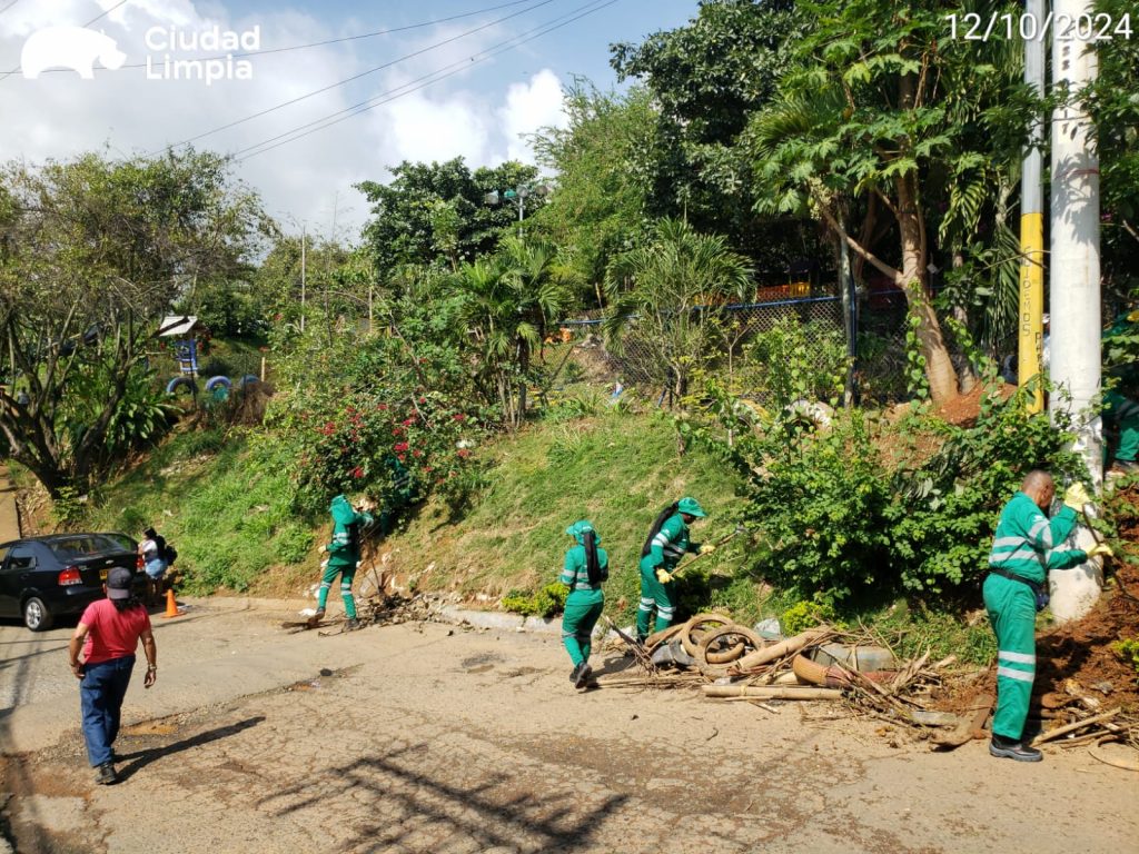 WhatsApp Image 2024-10-15 at 9.38.35 AM