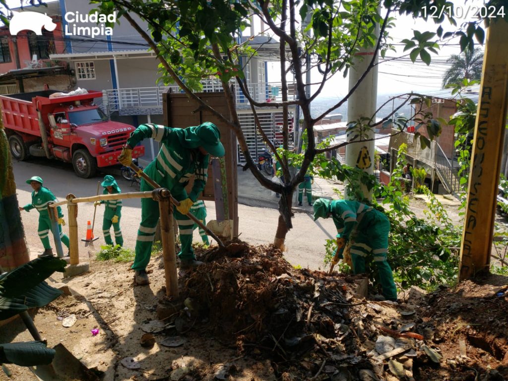 WhatsApp Image 2024-10-15 at 9.38.36 AM