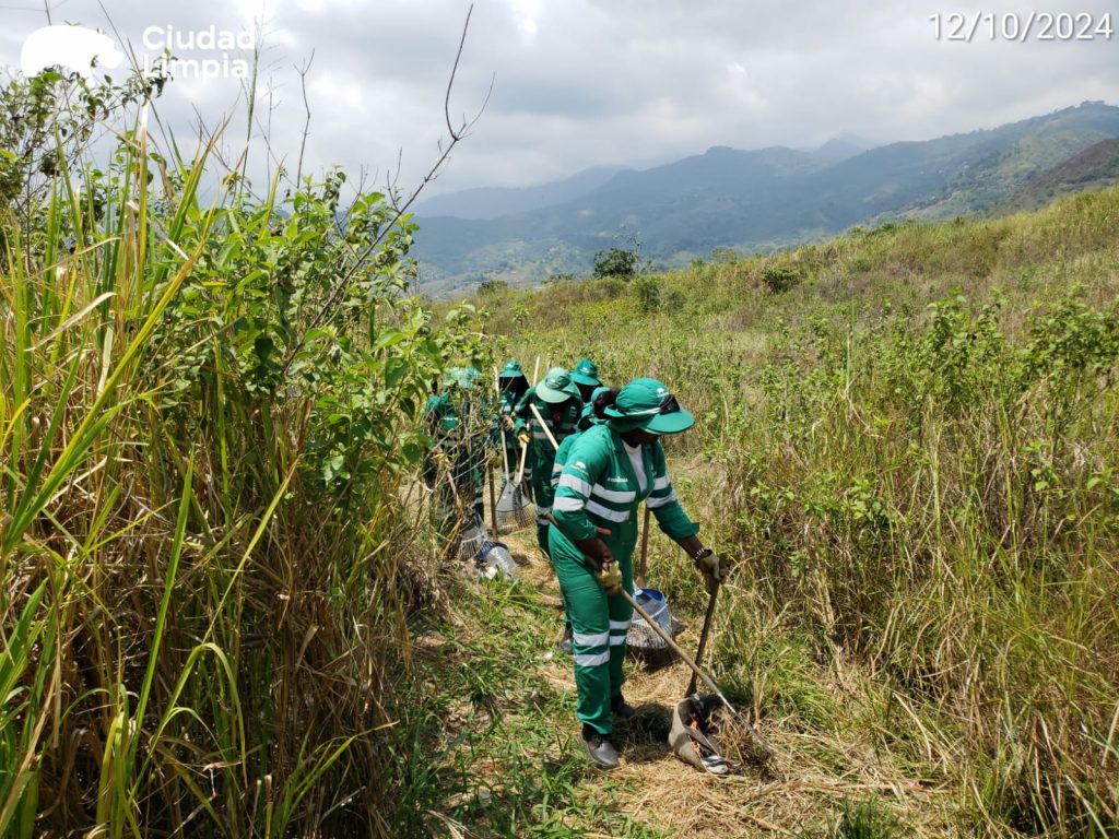 WhatsApp Image 2024-10-15 at 9.38.37 AM