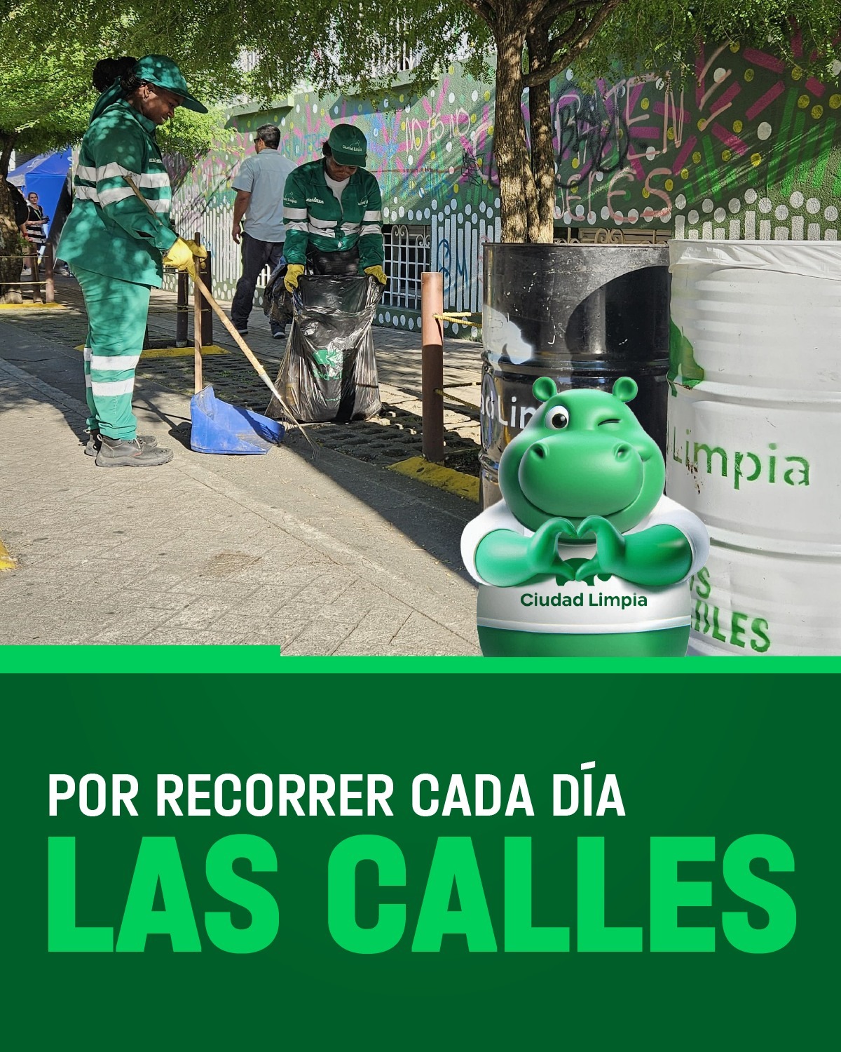 Imagen de WhatsApp 2024-11-05 a las 11.40.47_4b663c33