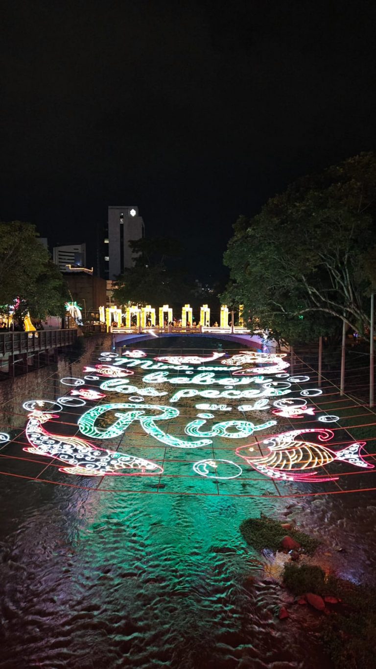 Imagen de WhatsApp 2024-12-09 a las 08.40.46_f0904085