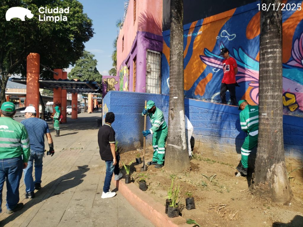 Imagen de WhatsApp 2025-01-20 a las 08.49.50_9f349c1f