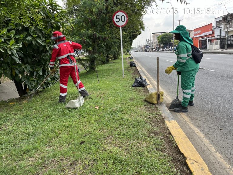 Imagen de WhatsApp 2025-03-25 a las 08.27.33_5e5332fe